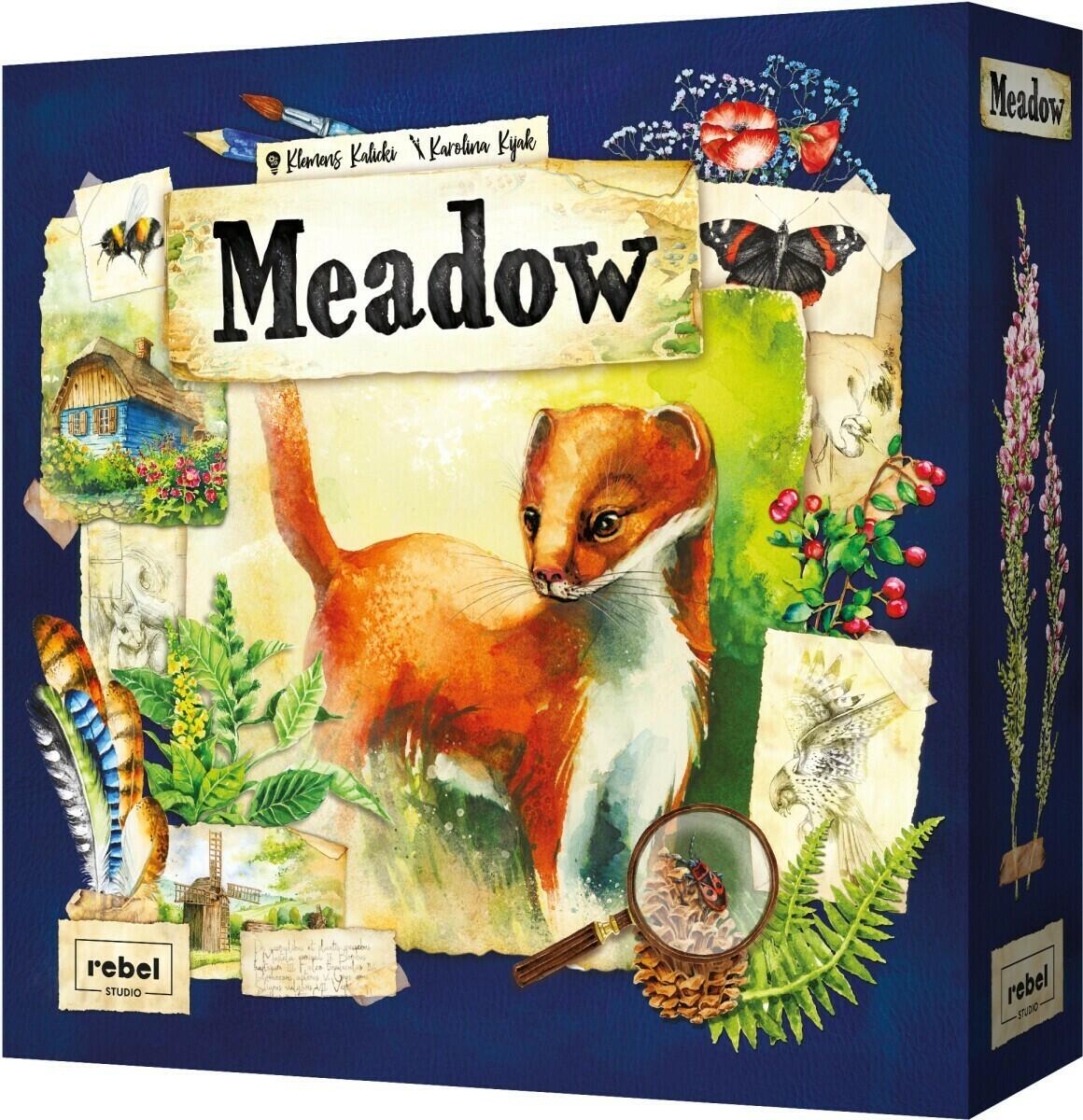 Meadow Cover 3d