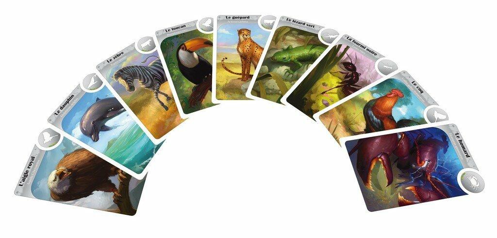 Cardline Animaux Cartes