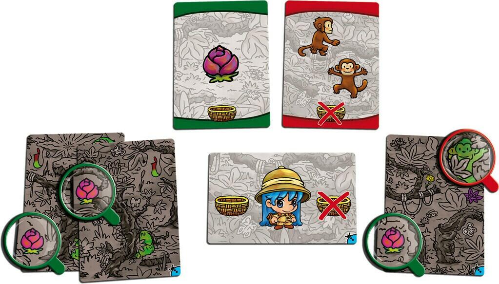 Explorons la Jungle Eclate