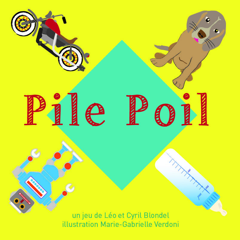 Pile Poil Flip Flap Cover