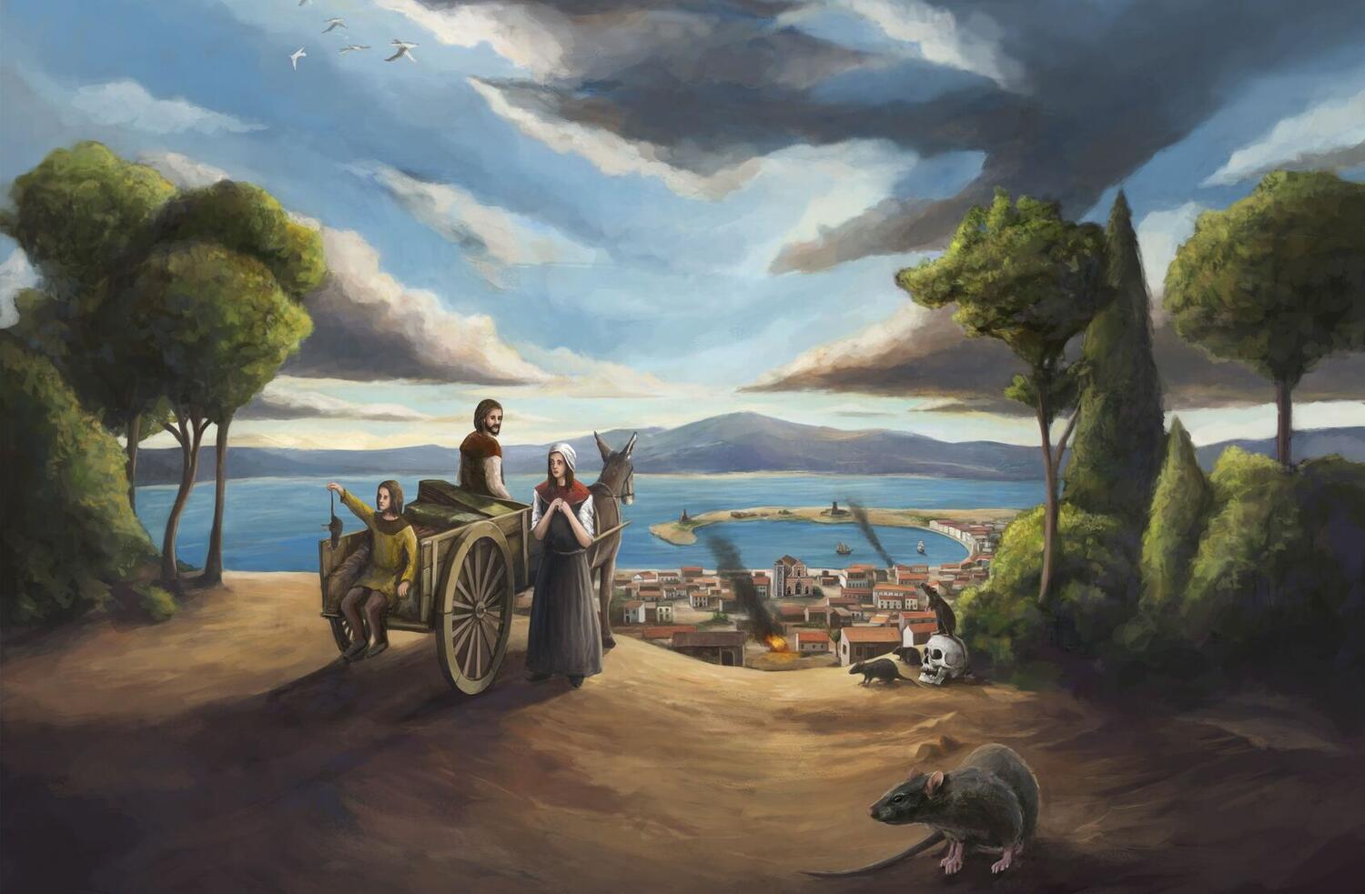 Messina 1347 Artwork