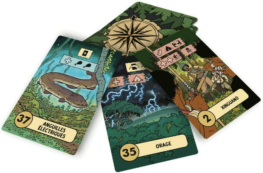 L'Expédition Perdue Cartes