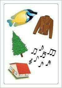 Tam Tam: Carnaval - La Fête de la Lettre S Carte