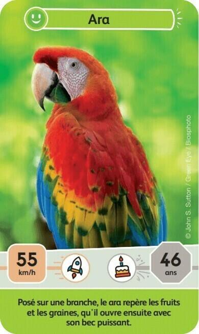 Défis Nature: Junior - Mystères de la Jungle Carte