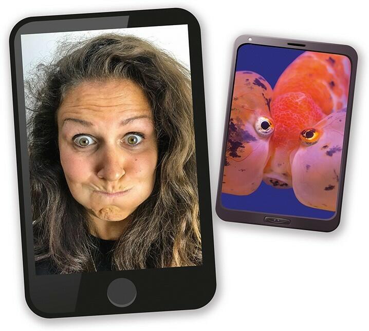 Selfie Safari Exemple