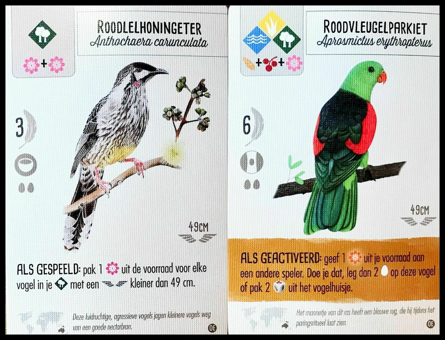 Wingspan: Extension Océanie Cartes