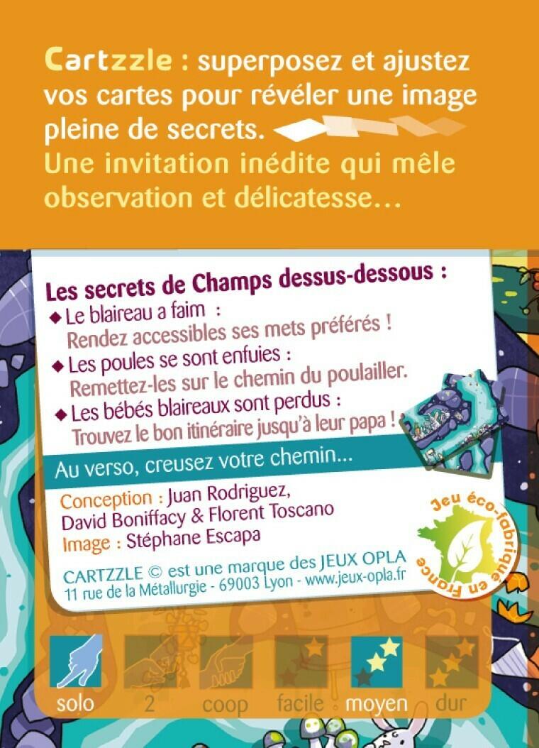 Cartzzle: Labyrinthe - Champs Dessus Dessous Back