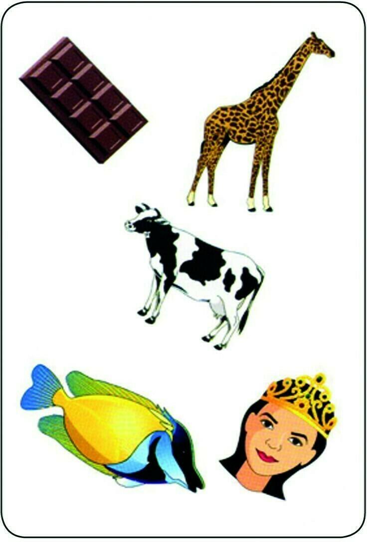 Tam Tam: Safari - CP - Niveau 2 Carte