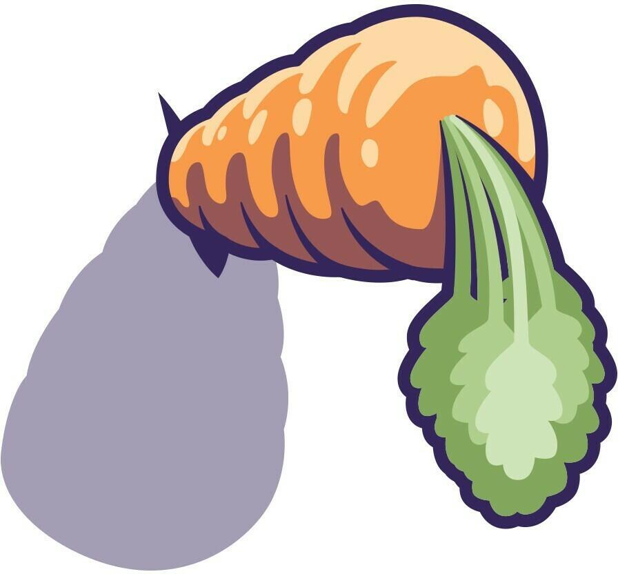 Zéro à 100 Carotte