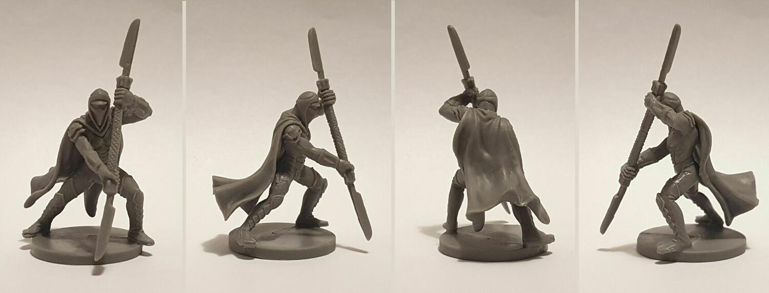 Star Wars: Assaut sur l'Empire - Champion de la Garde Royale Figurines