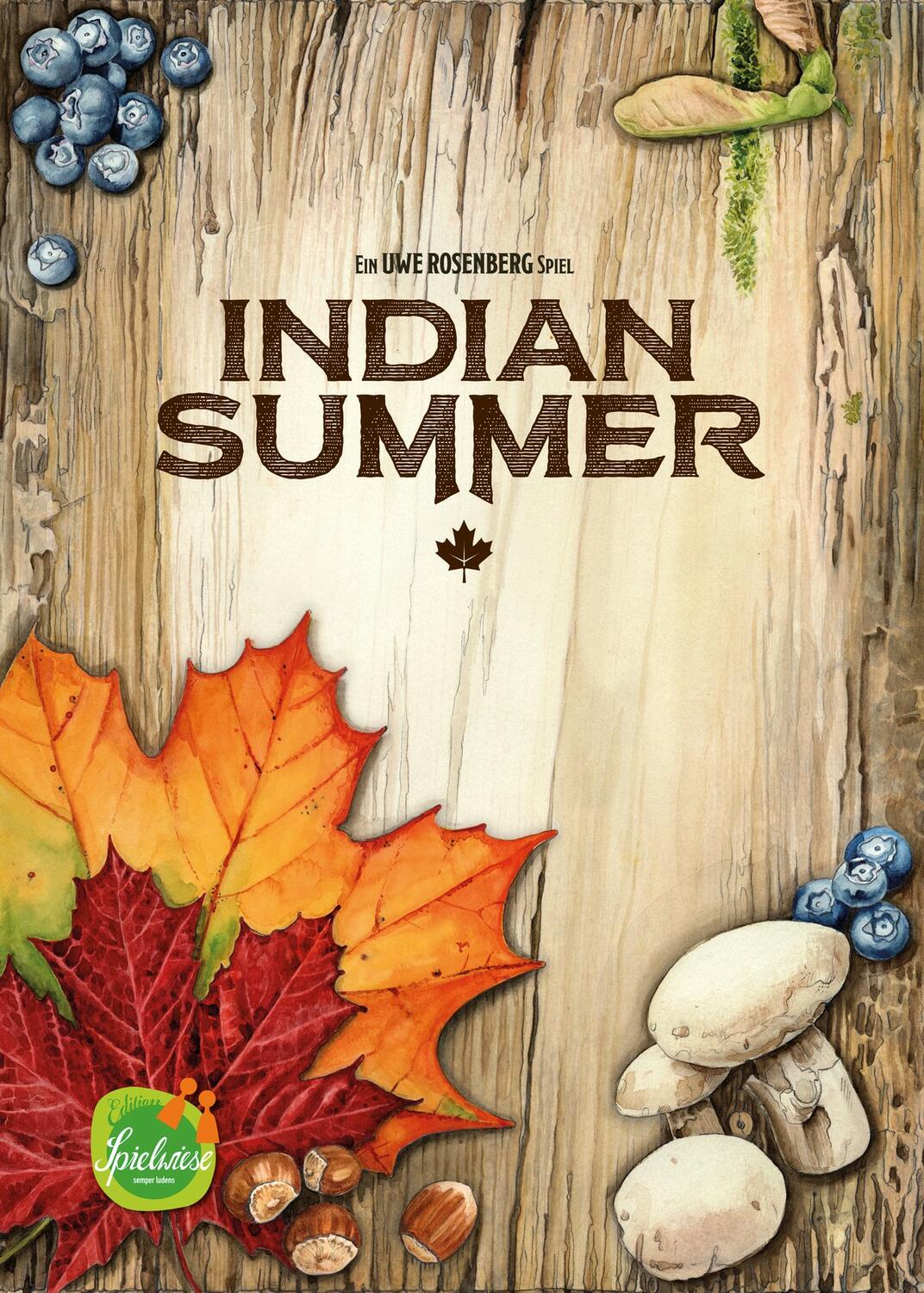 Indian Summer Cover