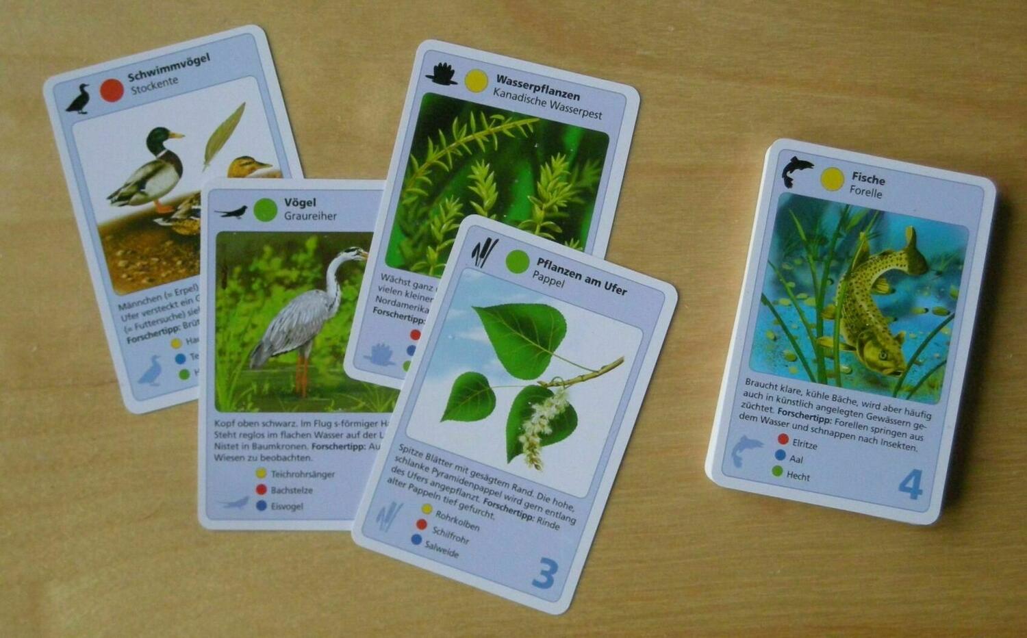 Naturquartett Wasser Cartes