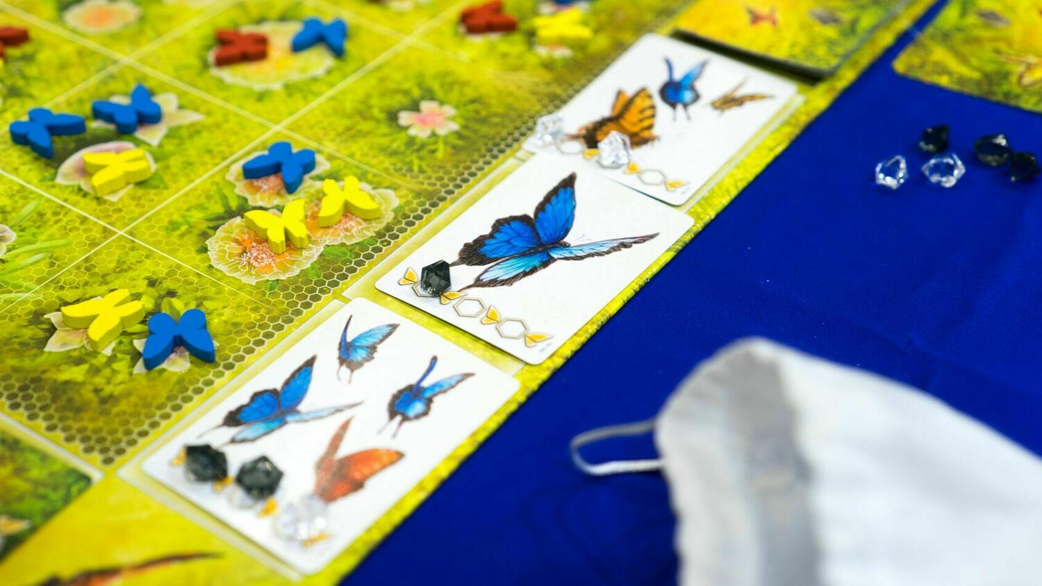 Dust in the Wings Zoom