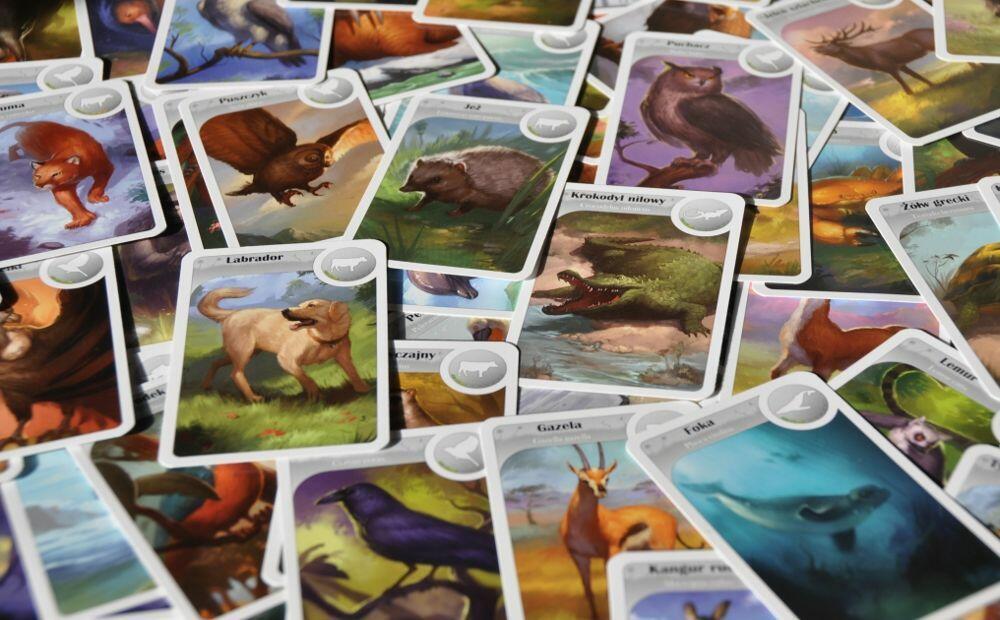 Cardline: Animaux Zoom