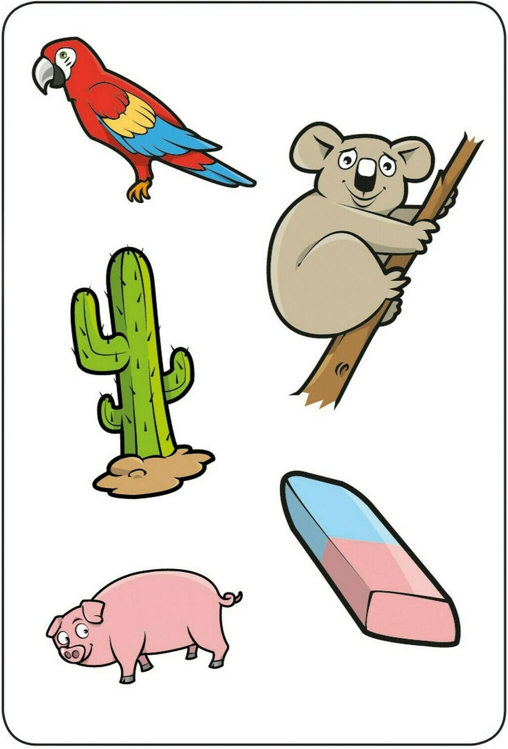 Tam Tam: Circus - K/G Carte