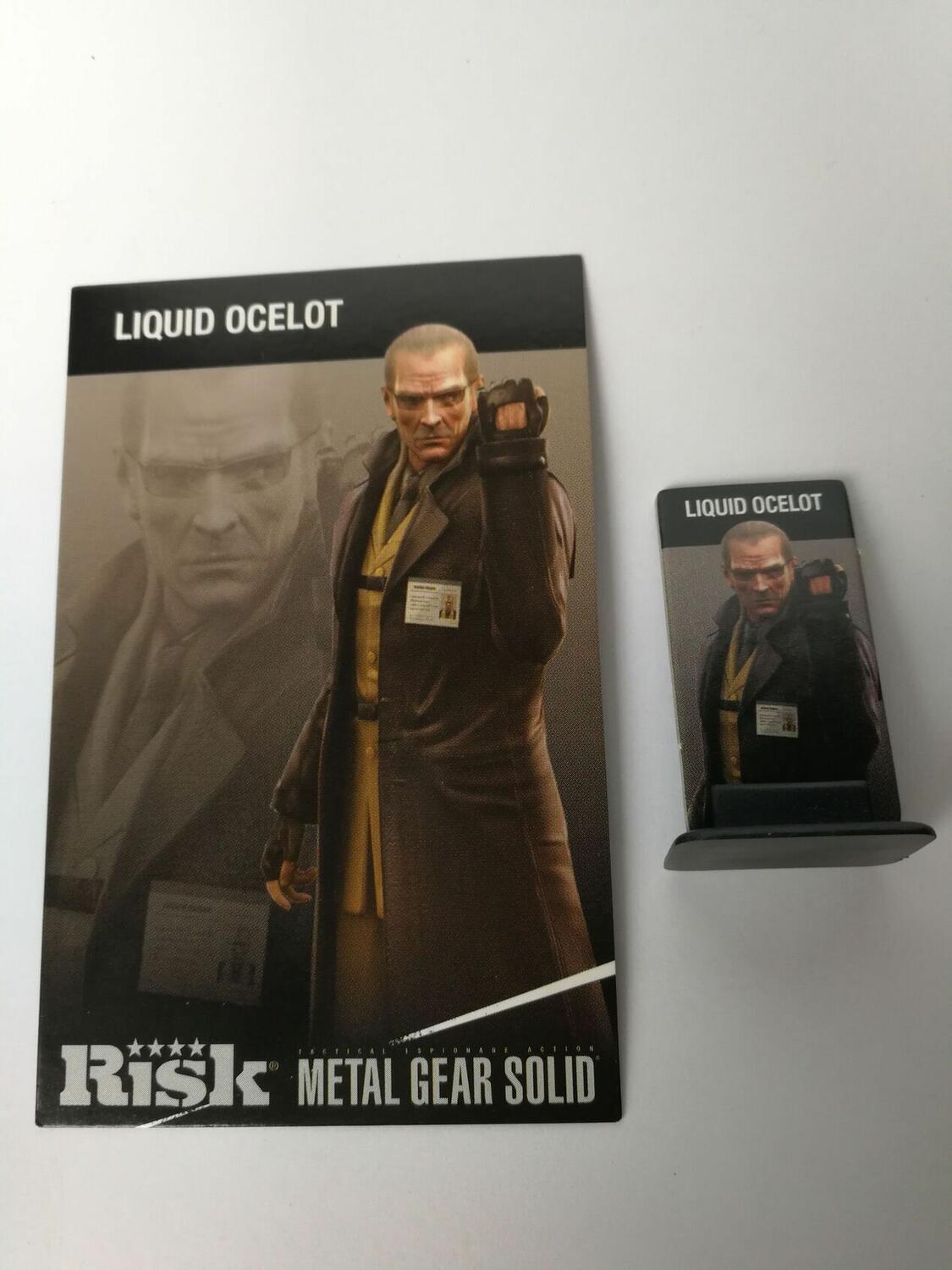 Risk: Metal Gear Solid - Collector's Edition Carte