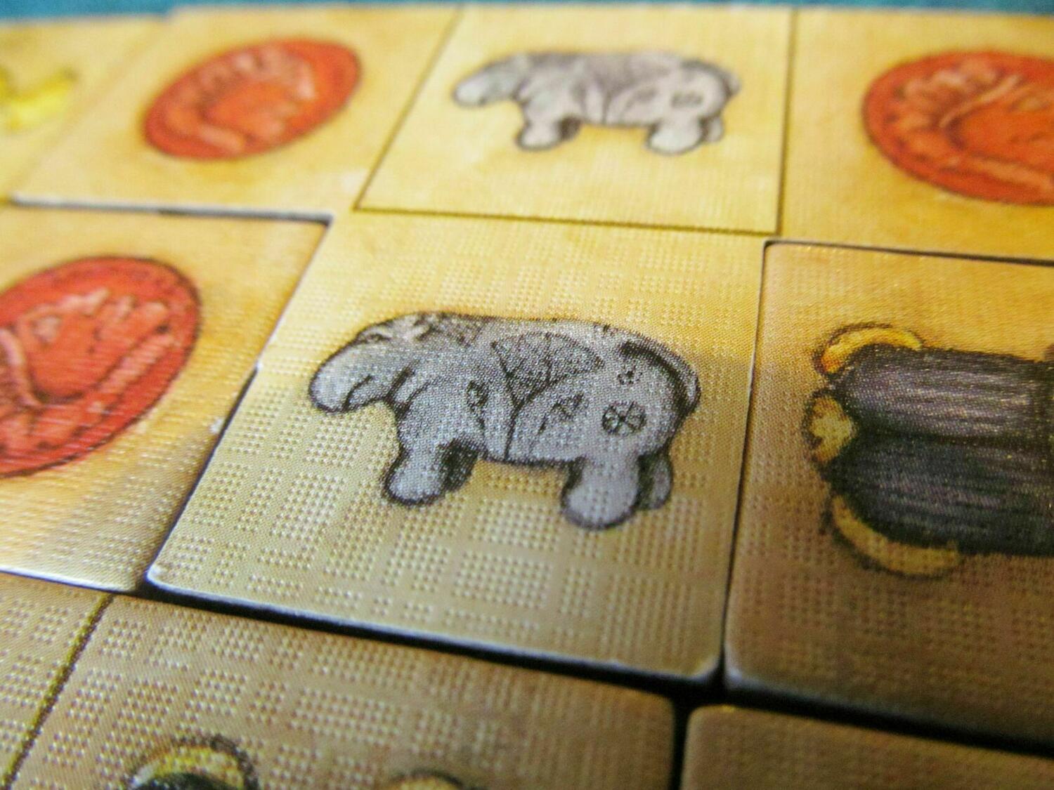 Trésor de la Momie Zoom