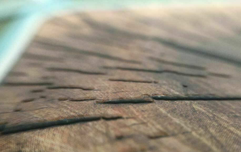 Cortex: Challenge Zoom