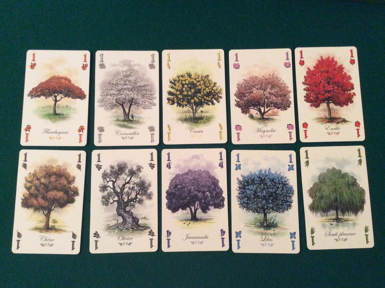 Arboretum Cartes
