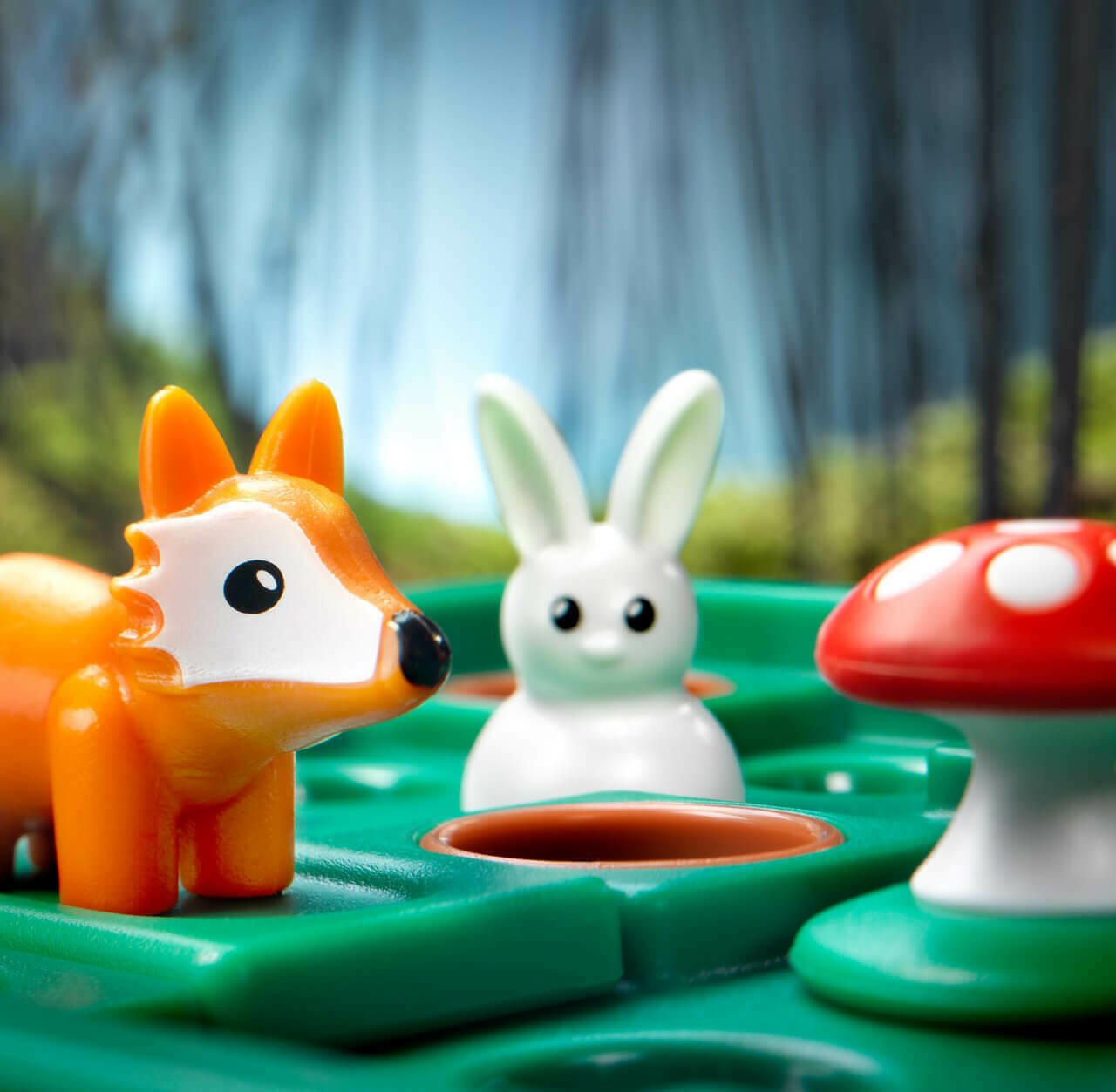 Lièvres & Renards Zoom