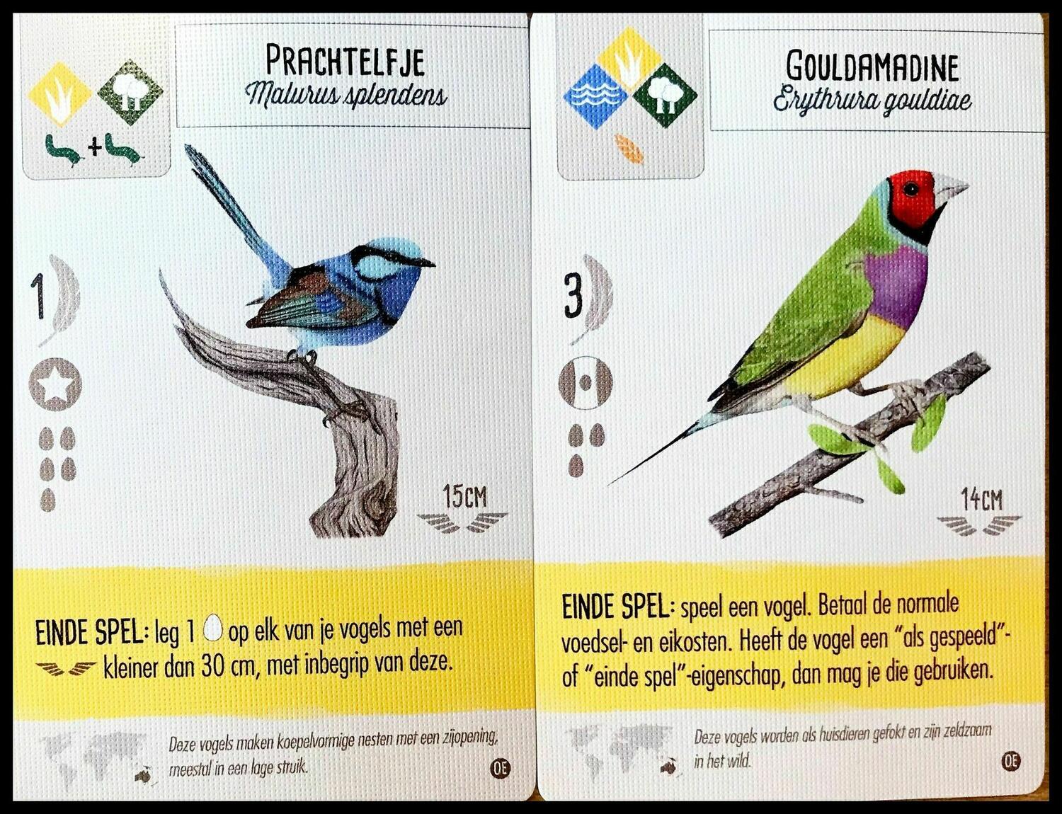 Wingspan: Extension Océanie Cartes