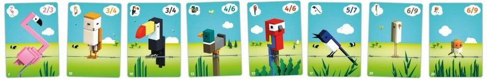 CuBirds Cartes