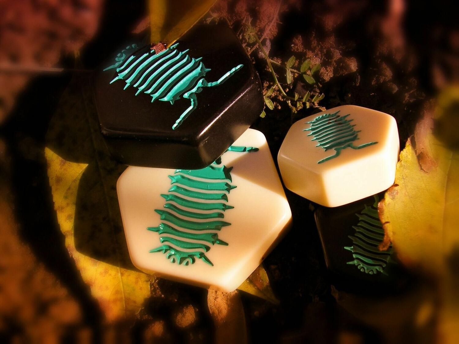 Hive: The Pillbug Zoom