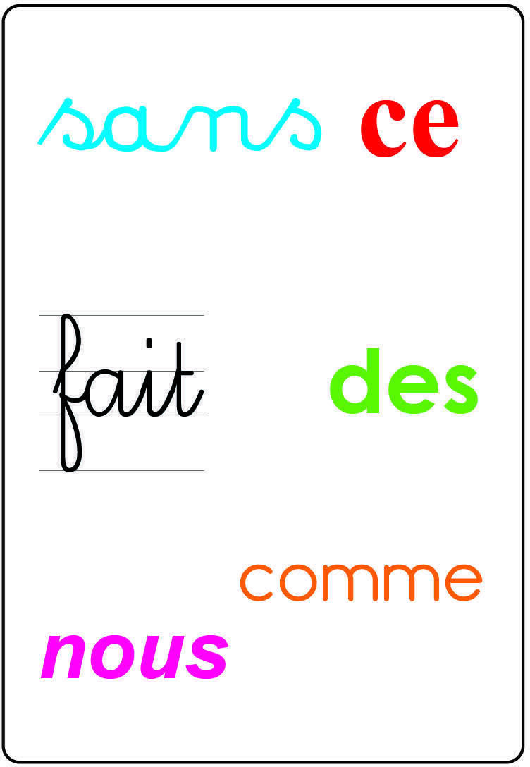 Tam Tam: Safari - Les Mots-Outils du CP Carte