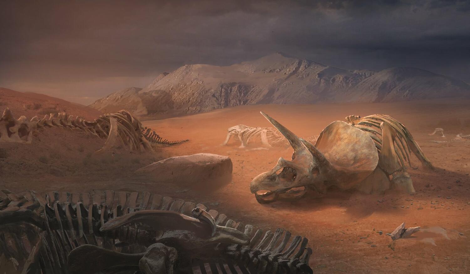 Unlock ! Exotic Adventures Artwork