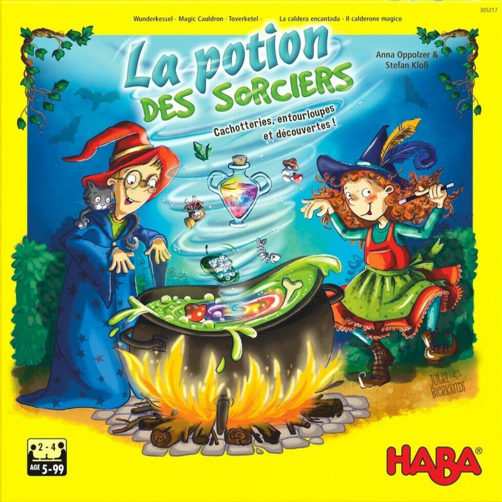 La Potion des Sorciers Cover