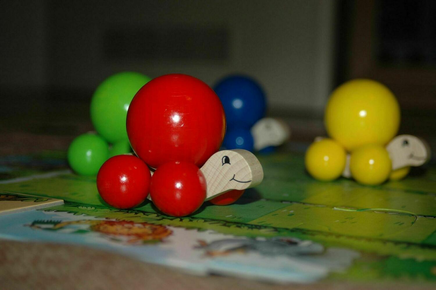 La Tortue Tatoune Zoom