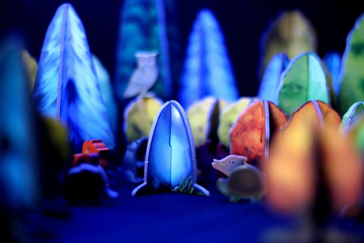 Photosynthesis: Under the Moonlight Zoom