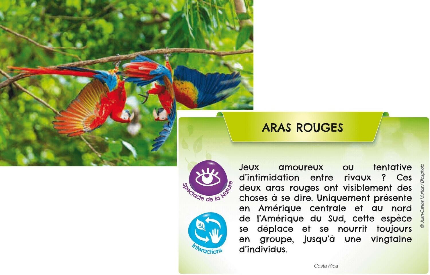 Bioviva ! Planète: Jungles et Forêts Eclate