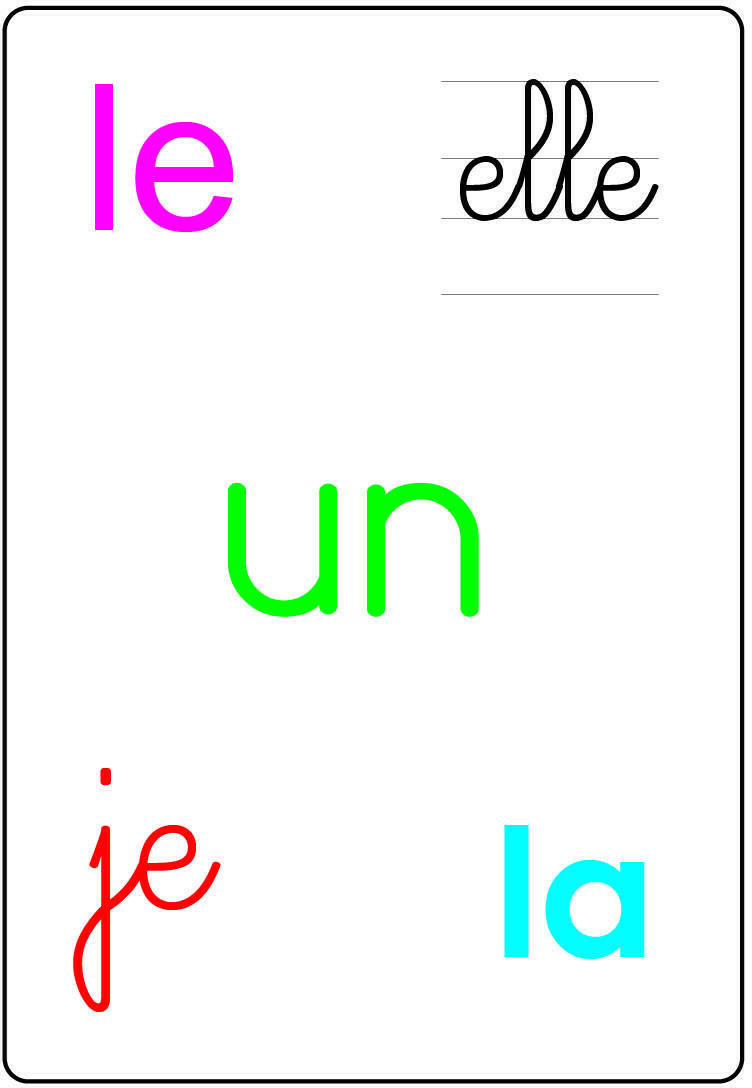 Tam Tam: Safari - Les Mots-Outils du CP Carte