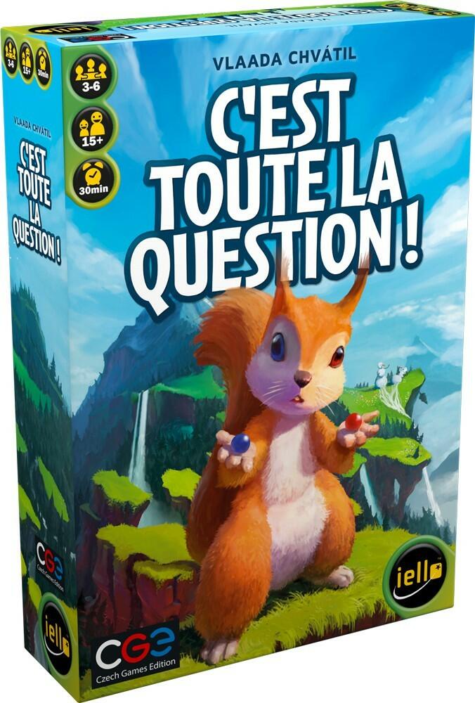 C'est Toute la Question ! Cover 3d