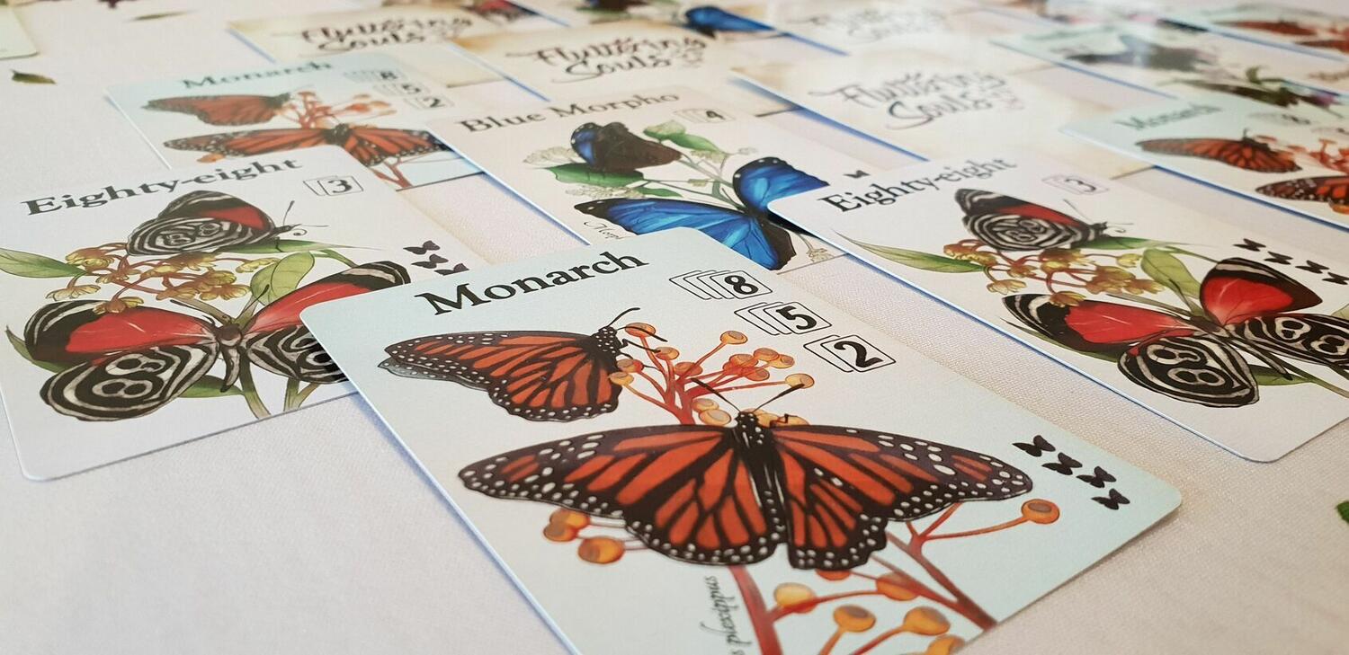 Papillons Célestes Zoom