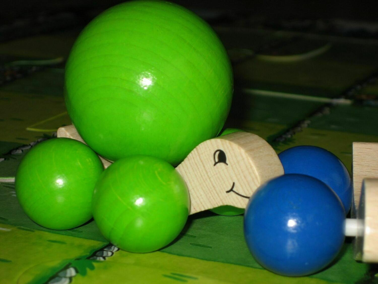 La Tortue Tatoune Zoom