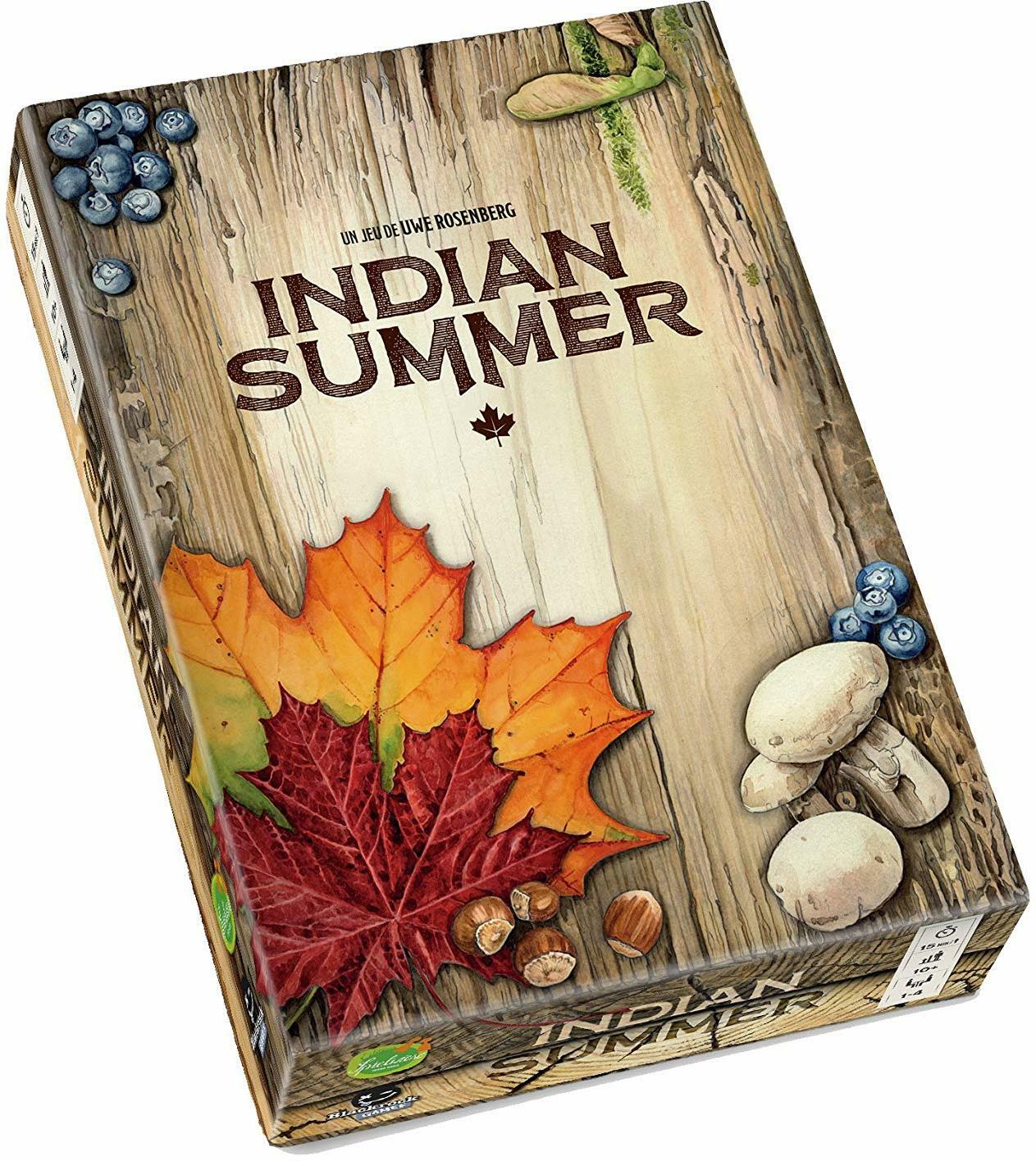 Indian Summer Cover 3d