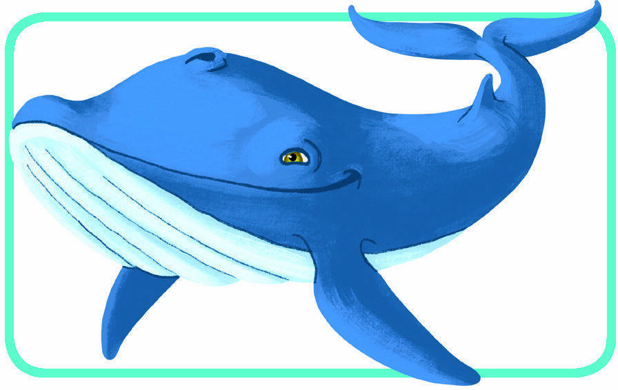 Concept Kids: Animaux Carte