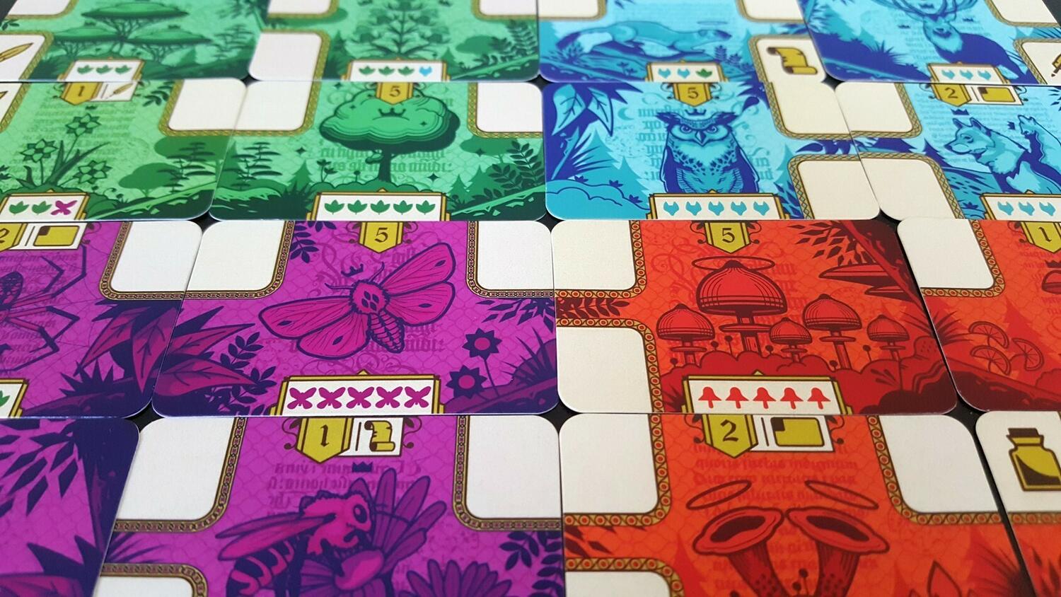 CODEX: Naturalis Zoom