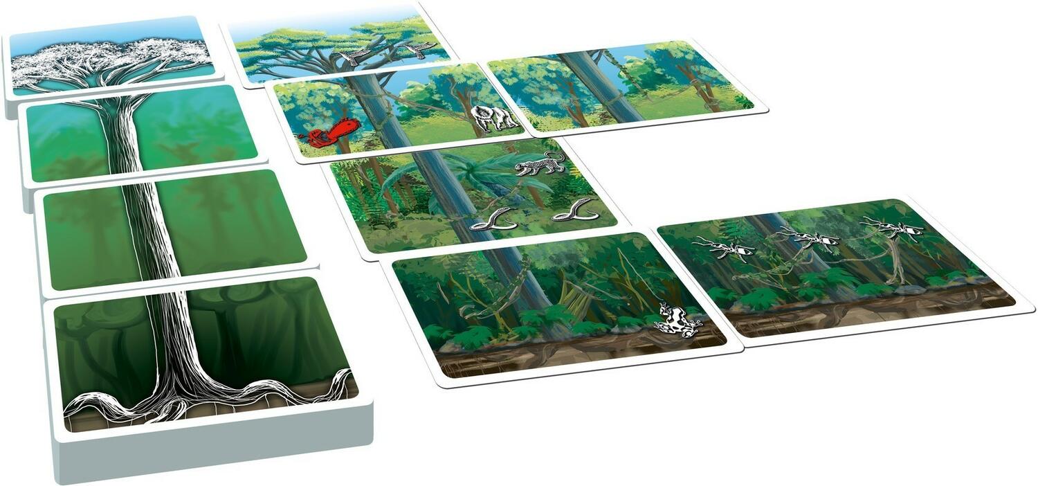 Il Était une Forêt: Le Jeu Cartes