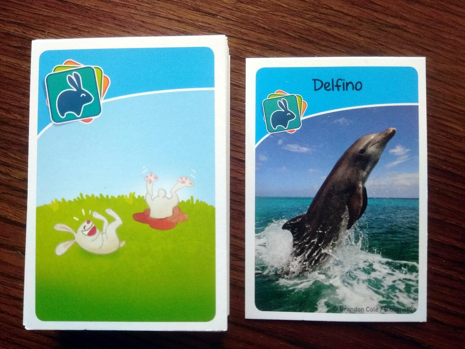 Bioviva ! Junior - Le Jeu Naturellement Drôle Cartes