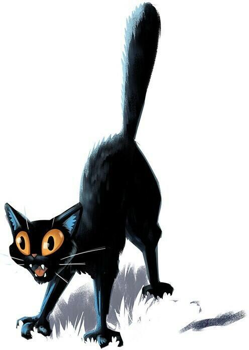 Mysterium Kids: Le Trésor du Capitaine Bouh Objet