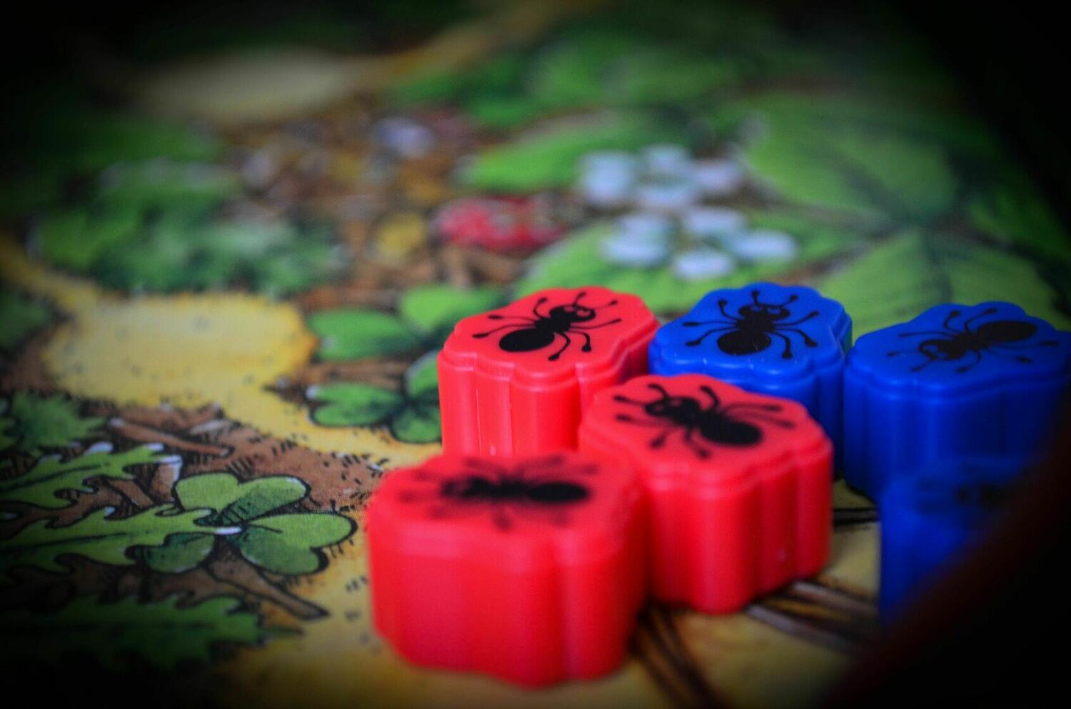 Gare à la Toile Zoom