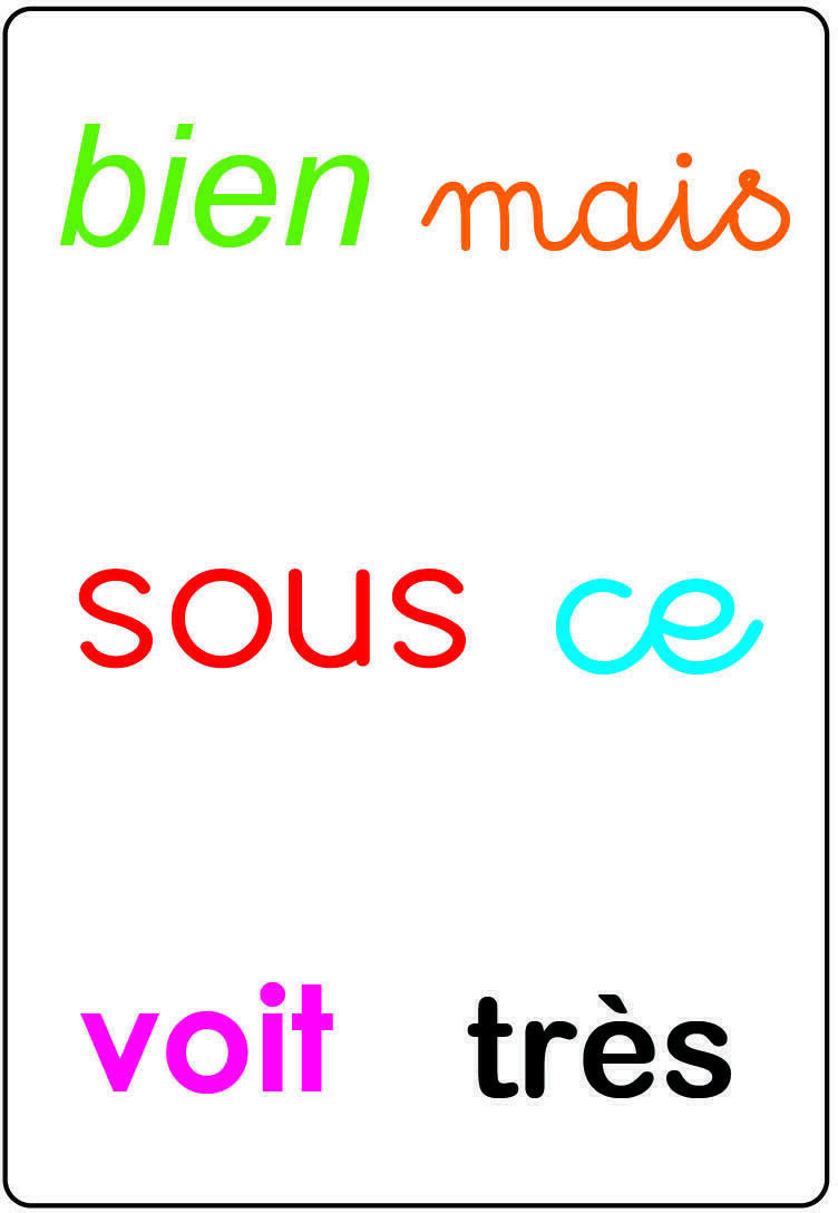 Tam Tam: Safari - Les Mots-Outils du CP Carte