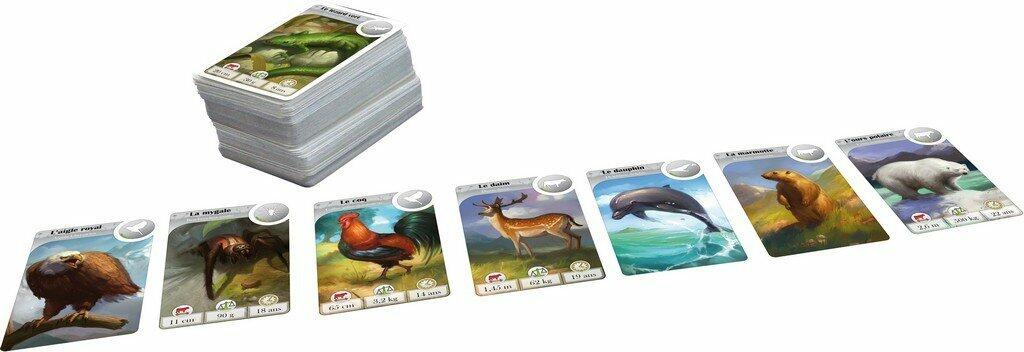 Cardline Animaux Cartes