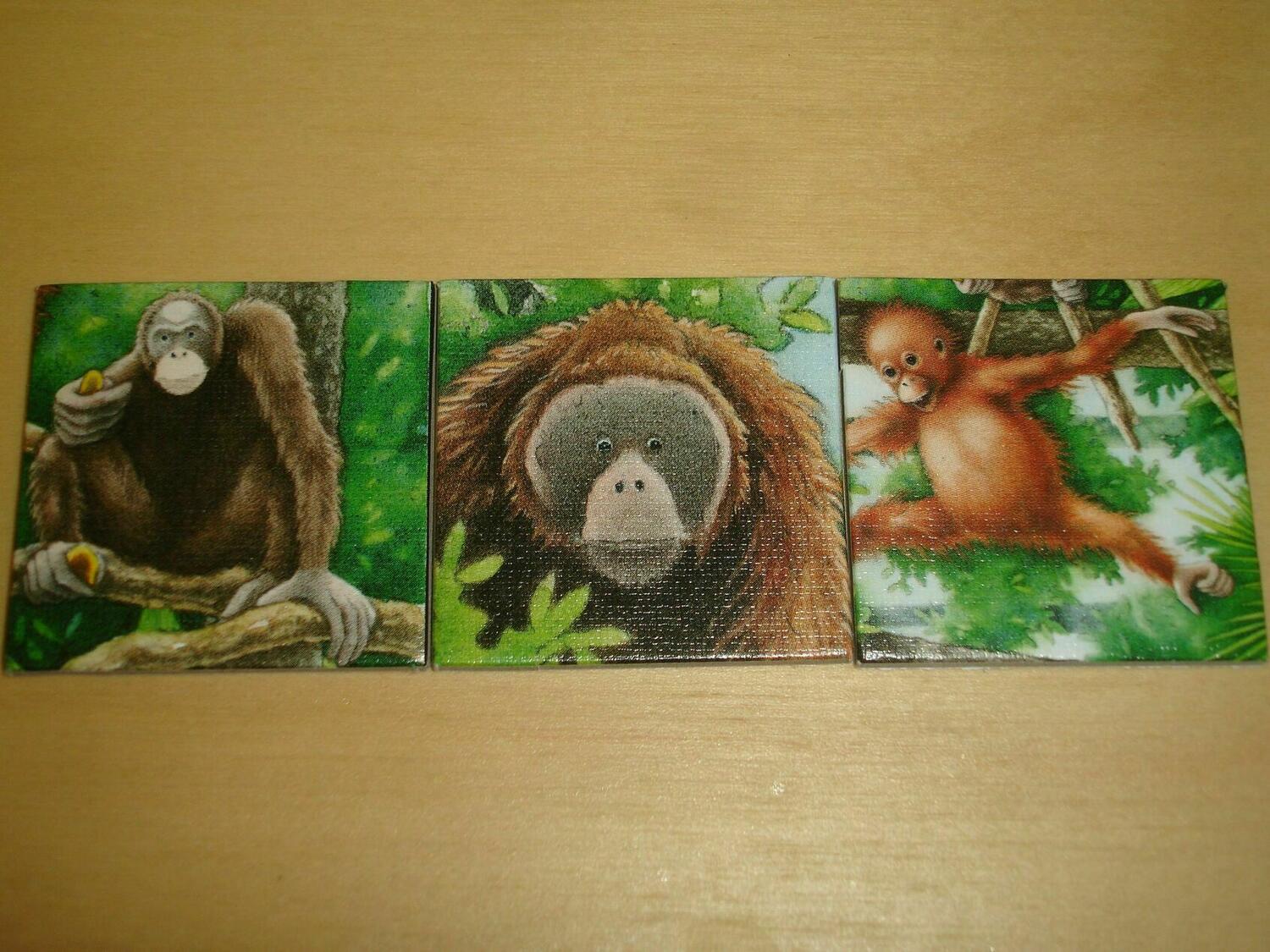 Charly im Zoo Tuiles