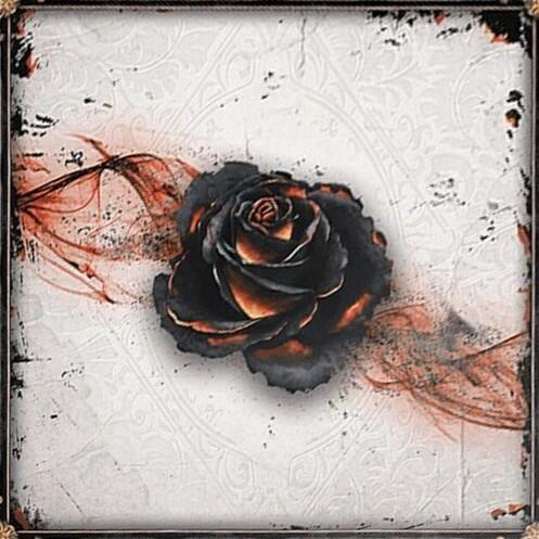 Black Rose Wars Cover