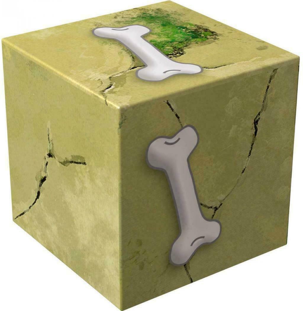 Expédition Dino Cube