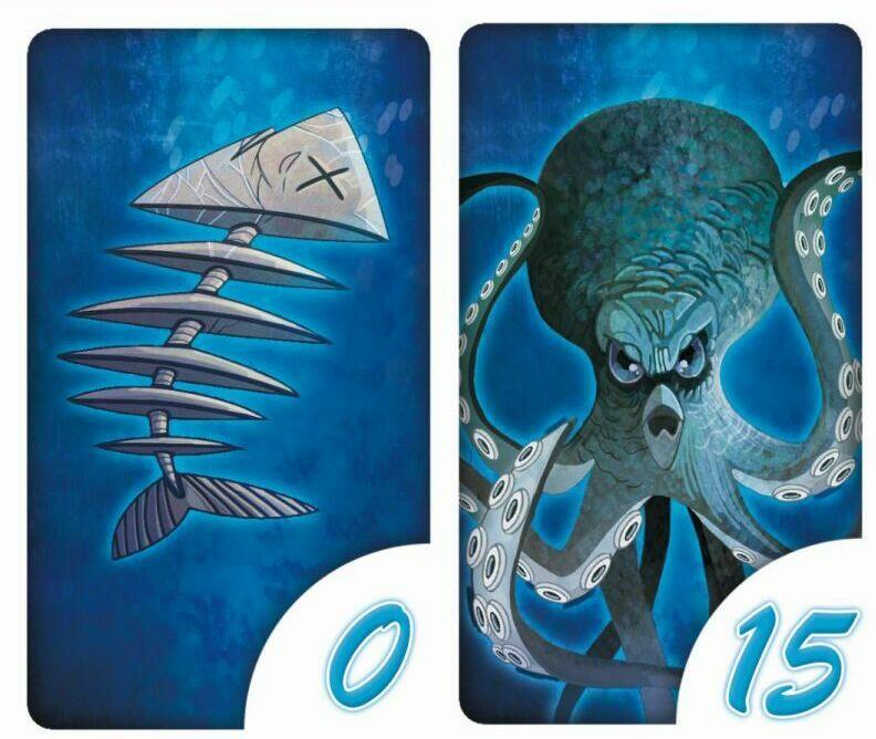 Nautilus Cartes